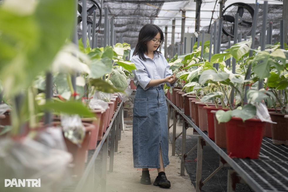 Nữ sinh Bắc Giang lập trang Covid-19 cho người nước ngoài giờ ra sao? - 4