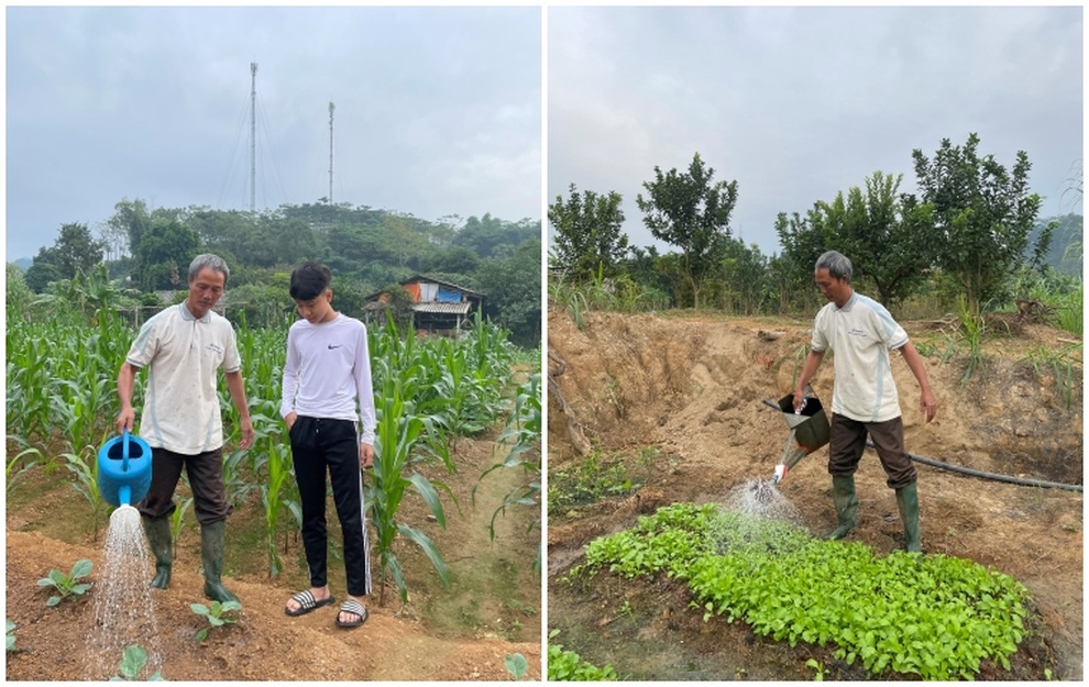 Vườn rau trái tươi tốt của một gia đình lão nông ở Yên Bái - 1 Vườn rau trái tươi tốt của một gia đình lão nông ở Yên Bái - 1