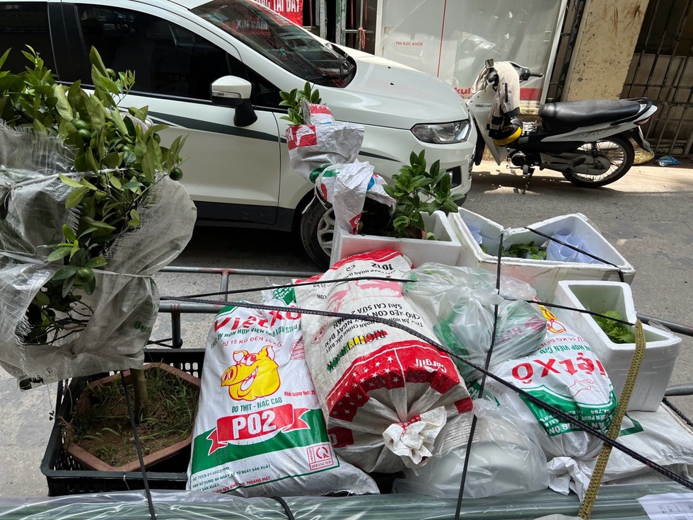 Ông bố ở Hà Nội chi nửa tỷ đồng làm vườn rau sân thượng - 2 Ông bố ở Hà Nội chi nửa tỷ đồng làm vườn rau sân thượng - 2