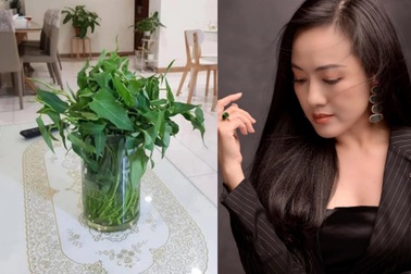 BTV Hoài Anh xúc động kể chuyện mẹ thành F0 và bó hoa rau muống đặc biệt