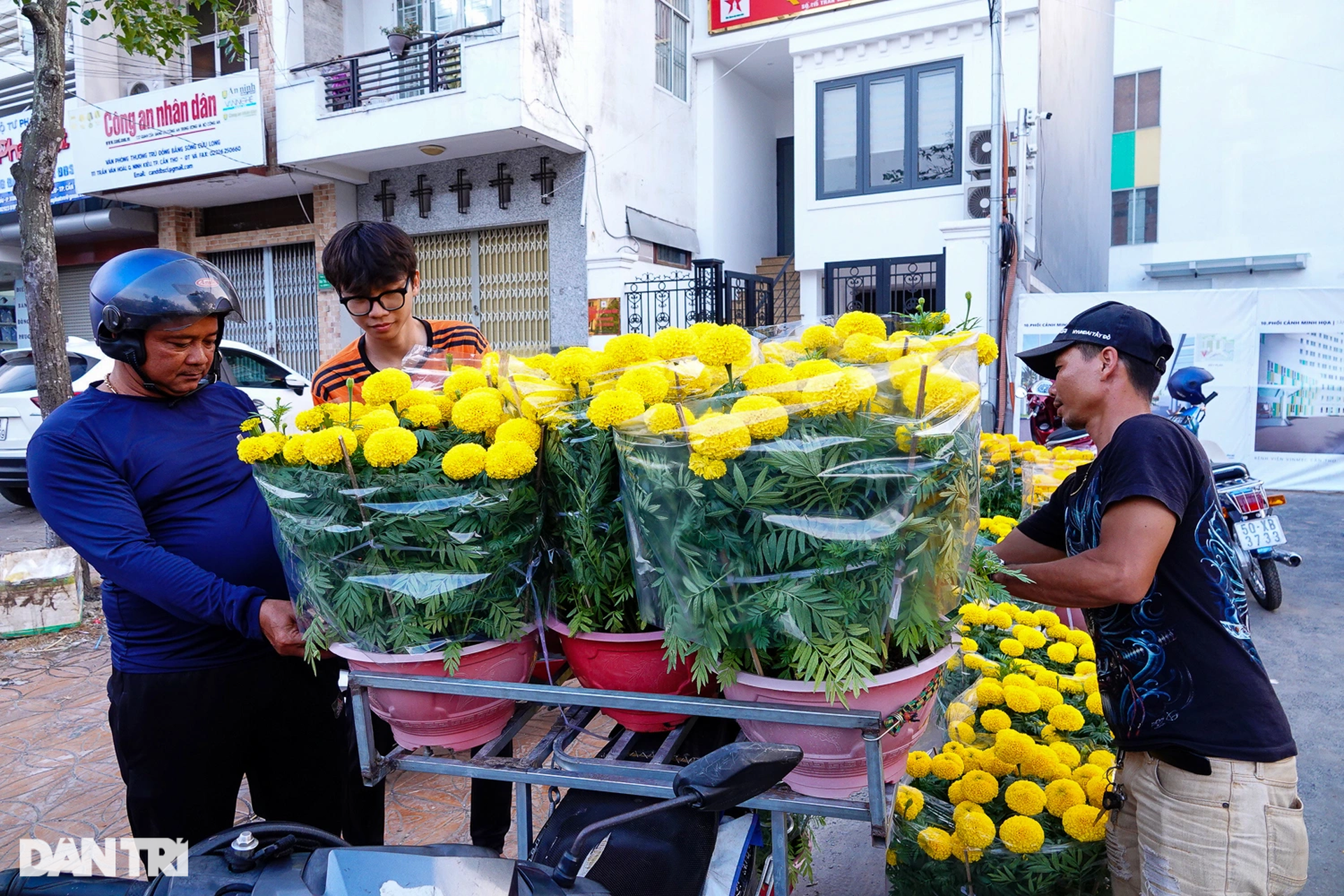 Chợ hoa Tết ở Cần Thơ: Giá niêm yết, giảm sâu vẫn bị khách ngó lơ - 5