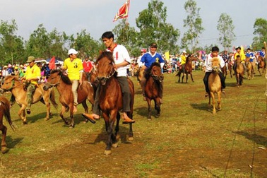 Những “kỵ sĩ nông dân” dũng mãnh trên lưng ngựa 