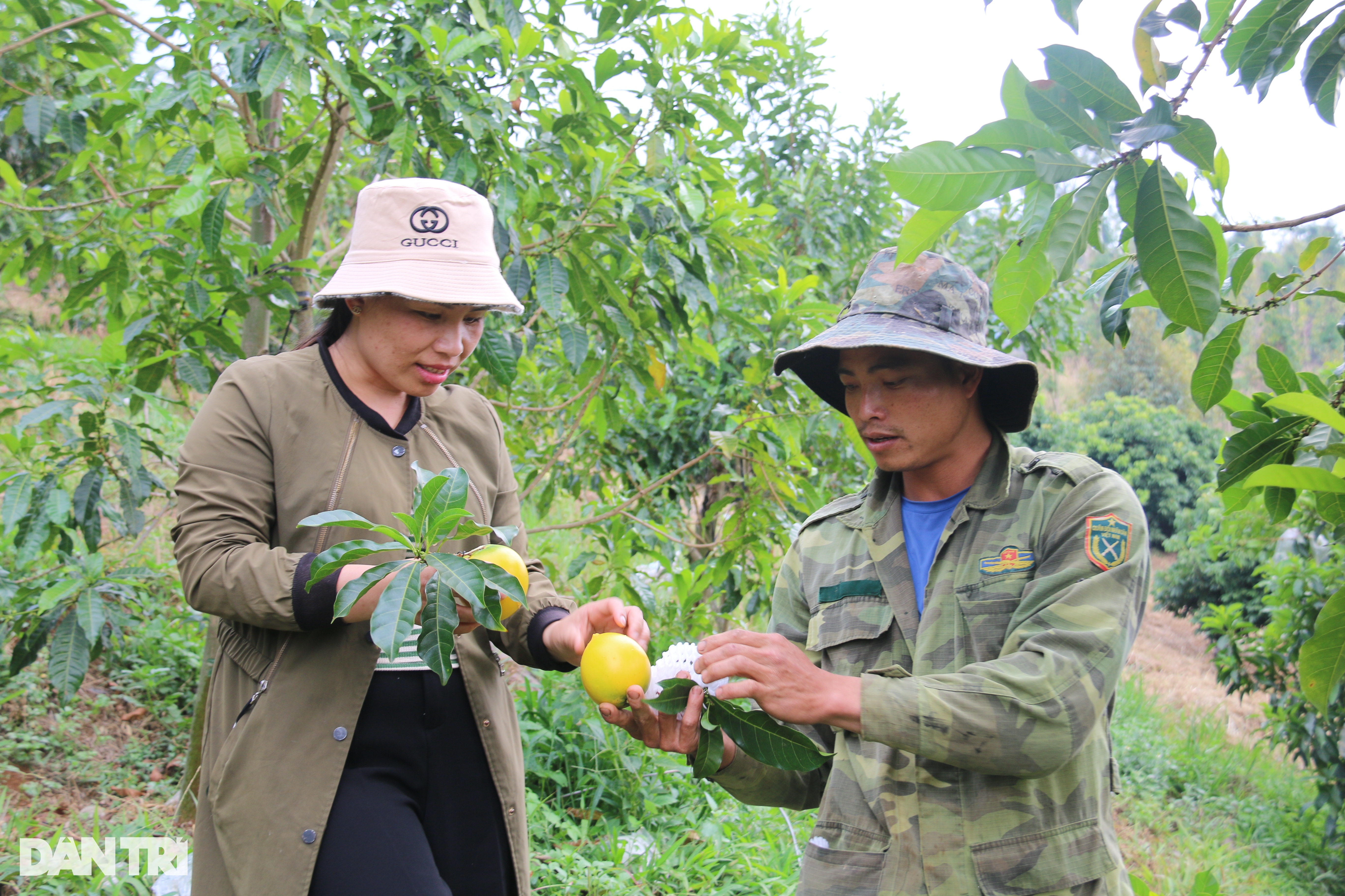 Vỗ vú sữa bằng tỏi ngâm rượu, nông dân trẻ thu trăm triệu mỗi năm - 1 Vỗ vú sữa bằng tỏi ngâm rượu, nông dân trẻ thu trăm triệu mỗi năm - 1