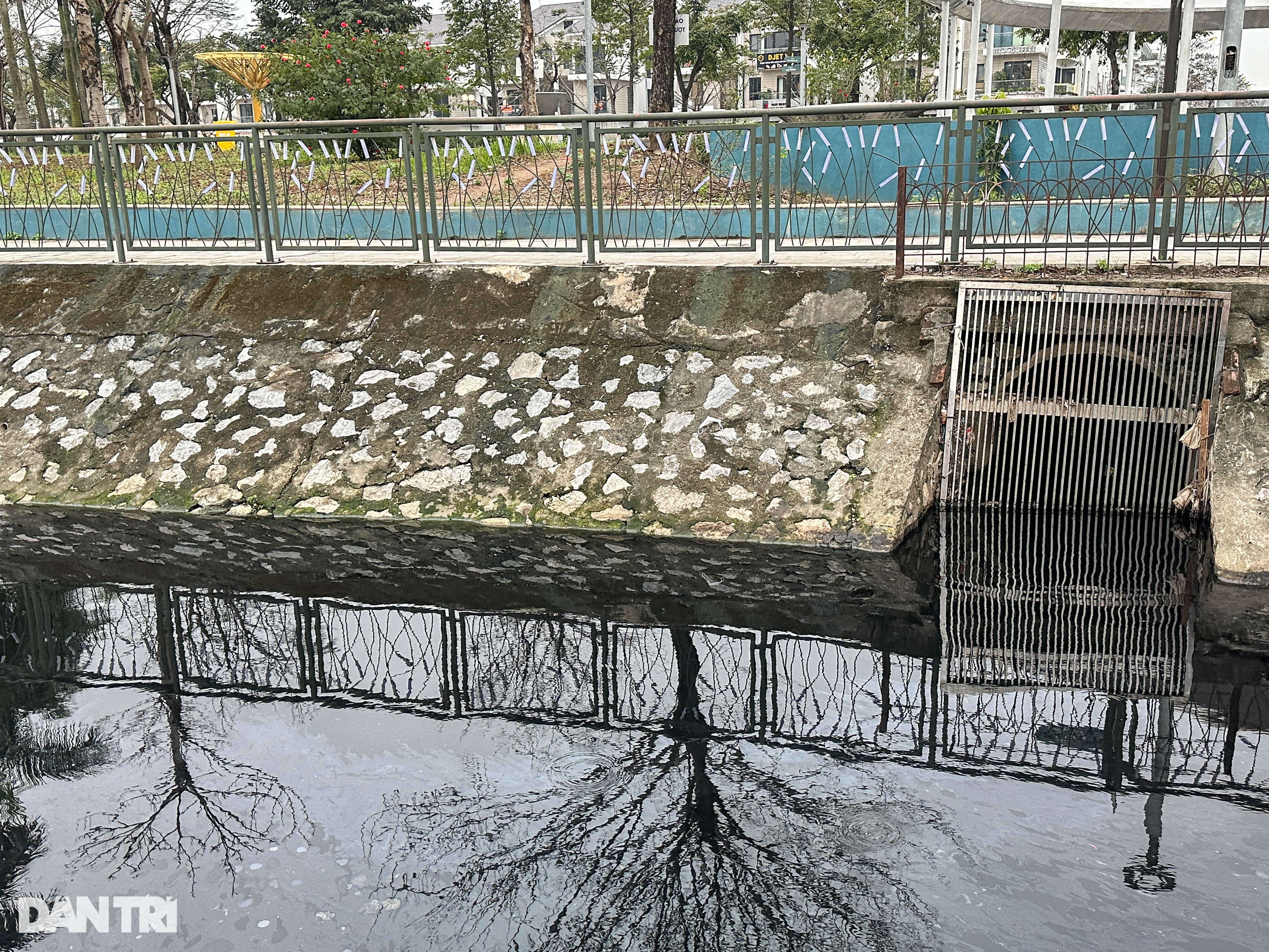 Hồ nước trong công viên độc nhất Đông Nam Á bốc mùi vì cá chết - 10