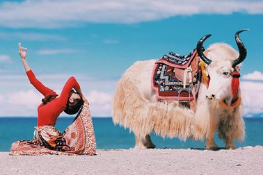 Độc đáo bộ ảnh cô gái Việt "mang yoga vòng quanh thế giới"