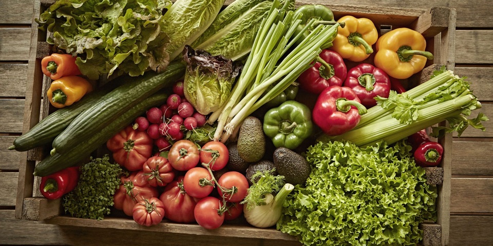 10 lời khuyên từ chuyên gia để có lá gan khỏe - 1 10 lời khuyên từ chuyên gia để có lá gan khỏe - 1