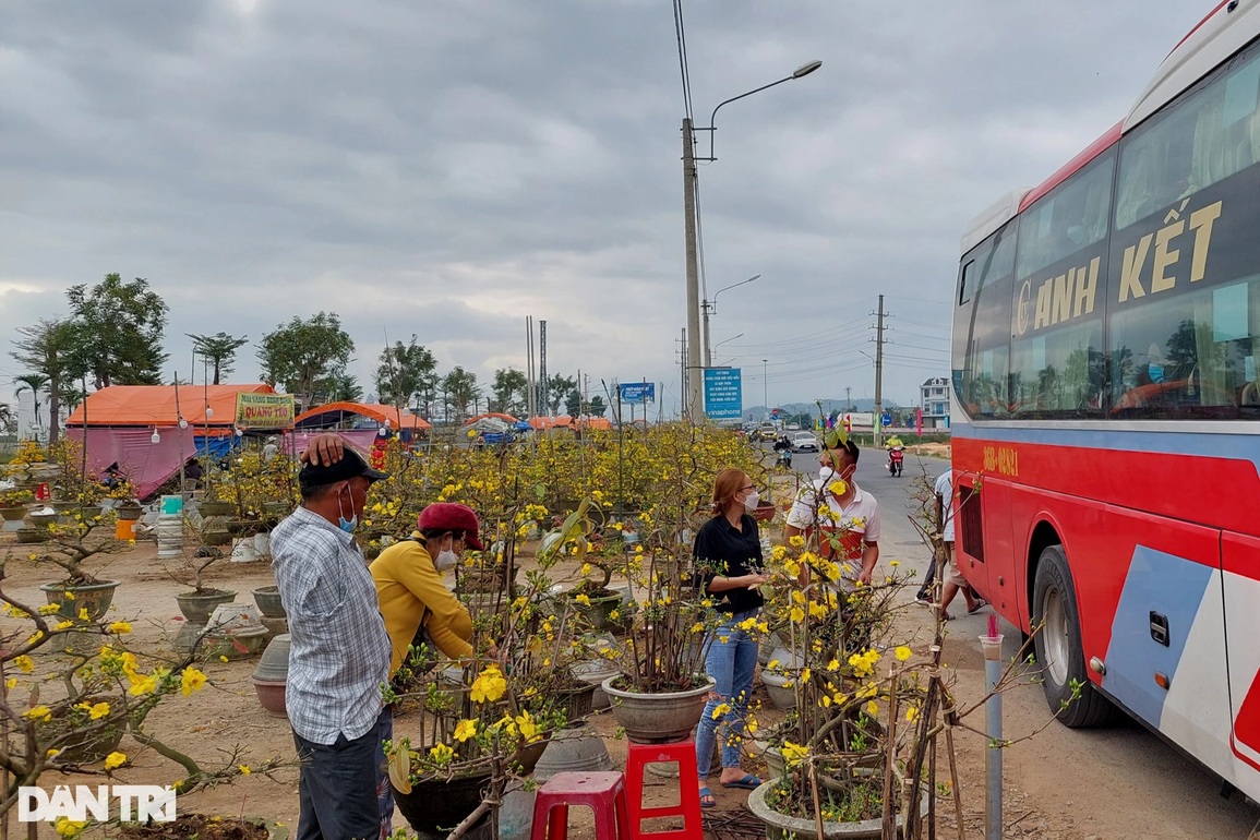 Chợ cuối năm, người bán hoa Tết đồng loạt xả hàng vớt cú chót - 6 Chợ cuối năm, người bán hoa Tết đồng loạt xả hàng vớt cú chót - 6
