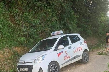 Bắt được hành khách sát hại tài xế taxi ở Nghệ An