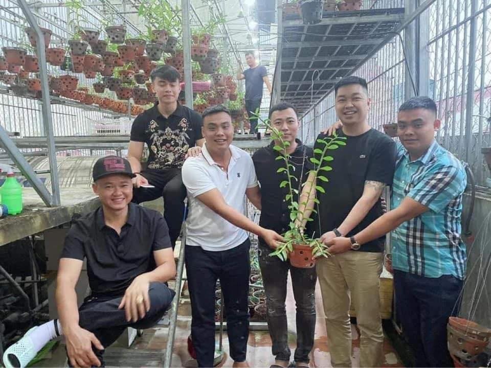 Nghệ nhân chia sẻ cách phòng bệnh héo rễ thường gặp ở hoa lan - 4 Nghệ nhân chia sẻ cách phòng bệnh héo rễ thường gặp ở hoa lan - 4