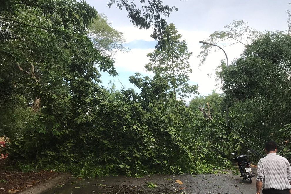 Mưa dông, lốc xoáy gây thiệt hại 80 căn nhà dân - 3 Mưa dông, lốc xoáy gây thiệt hại 80 căn nhà dân - 3