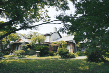 20 năm không phải mua gạo nhờ bỏ phố về quê "trồng rau, nuôi gà"