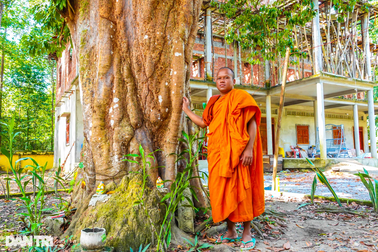 Độc lạ cặp vải thiều 300 tuổi ở An Giang được xem là báu vật