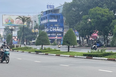 Cưa 9 cây cau giữa đường, 4 người bị khởi tố