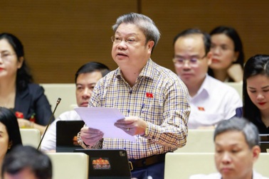 Đại biểu Quốc hội: "Không biến hòa giải viên thành người phán xét sự thật"