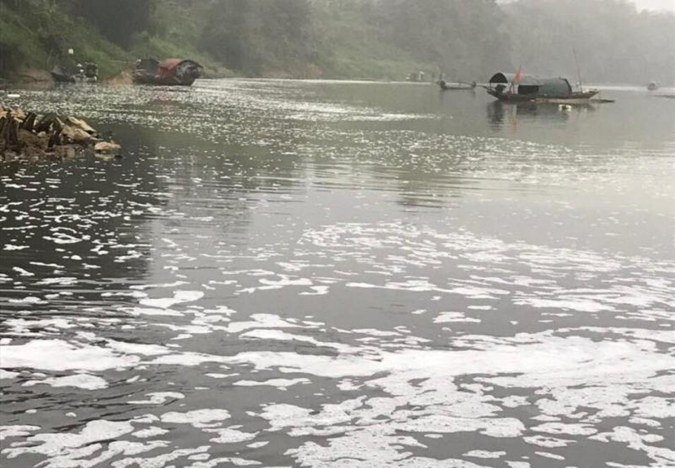 Công an vào cuộc, điều tra nguyên nhân cá chết hàng loạt trên sông Chu - 2 Công an vào cuộc, điều tra nguyên nhân cá chết hàng loạt trên sông Chu - 2