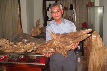 Điều gì khiến kỳ nam đắt khủng khiếp?