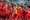 Phó chủ tịch VFF: "Mục tiêu cao ở SEA Games, hướng về vòng loại World Cup"