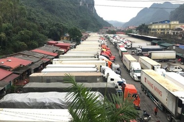 Xử lý nghiêm hành vi lợi dụng ùn tắc hàng hóa để vi phạm pháp luật