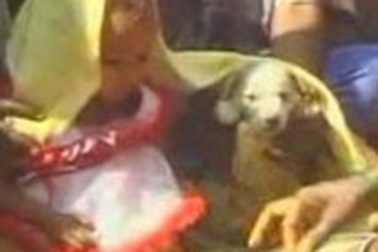 Làm đám cưới với… chó 