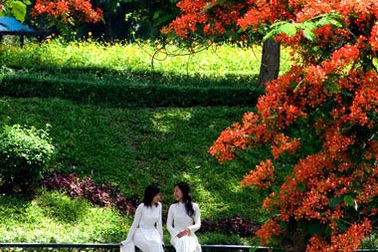 Tác giả “Thời hoa đỏ” ra đi, để lại niềm tiếc thương vô hạn…