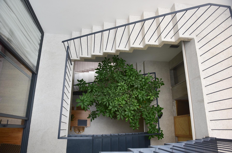 Nhà ống chật hẹp ở Hà Nội đẹp ấn tượng nhờ các khu vườn treo xanh mát - 1