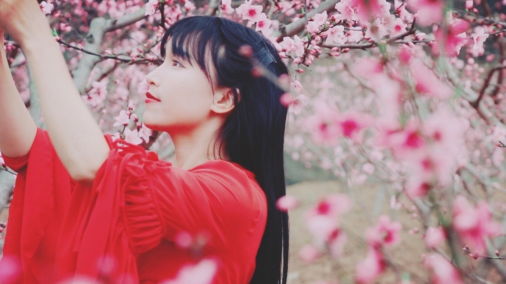 Dừng sản xuất video, Tiên nữ Lý Tử Thất vẫn thu về hơn 2 tỷ đồng/tháng - 1 Dừng sản xuất video, Tiên nữ Lý Tử Thất vẫn thu về hơn 2 tỷ đồng/tháng - 1