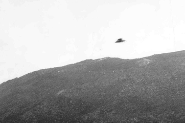 Cư dân miền Tây Hoa Kỳ nhiều lần nhìn thấy UFO, chúng thực sự là gì?