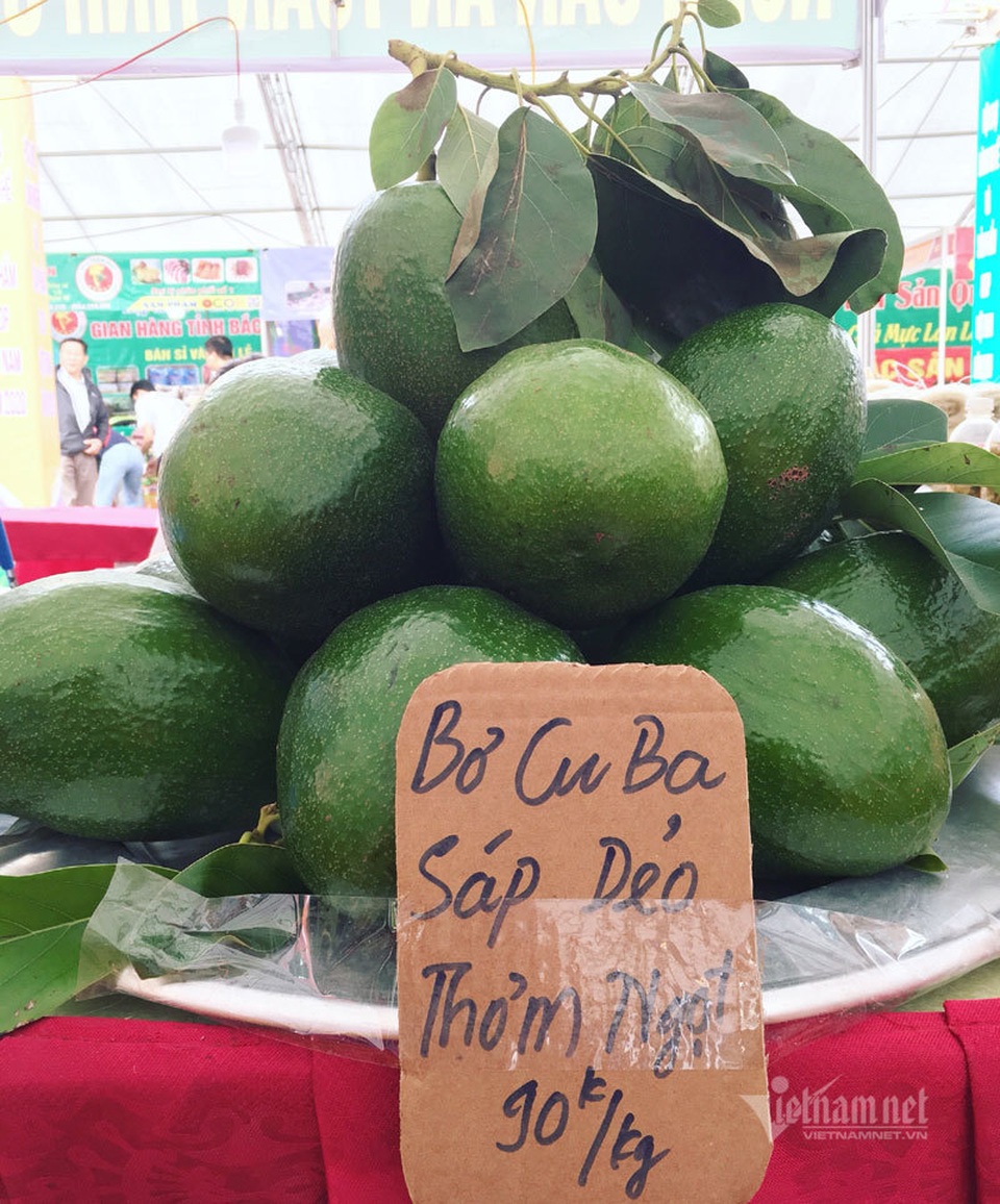 Quả bơ khổng lồ nặng 2 kg, hàng trên núi về gây sốt Hà thành - 2 Quả bơ khổng lồ nặng 2 kg, hàng trên núi về gây sốt Hà thành - 2