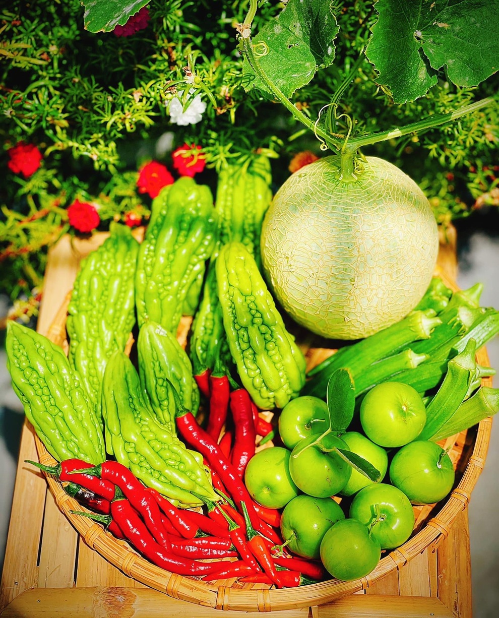 Làm vườn sân thượng giữa mùa dịch, mẹ đảm Sài Gòn có rau trái ăn cả ngày - 14