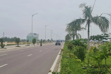 Bình Định yêu cầu giải trình hơn 380 hồ sơ khai giá đất thấp hơn thực tế