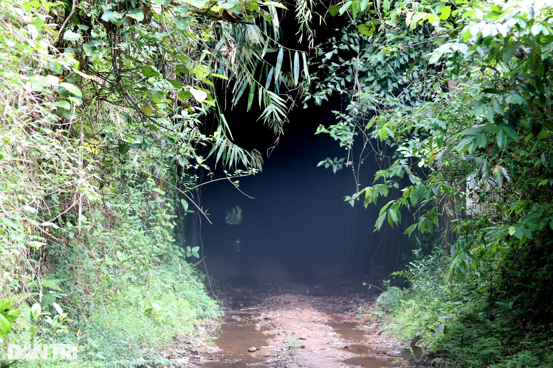 Khám phá không trung thiết lộ dài 65km nối Việt - Lào ở thế kỷ XX - 9 Khám phá không trung thiết lộ dài 65km nối Việt - Lào ở thế kỷ XX - 9