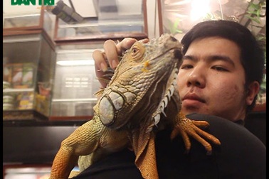 Hà Nội: Cận cảnh “rồng đất khổng lồ” có giá nghìn đô