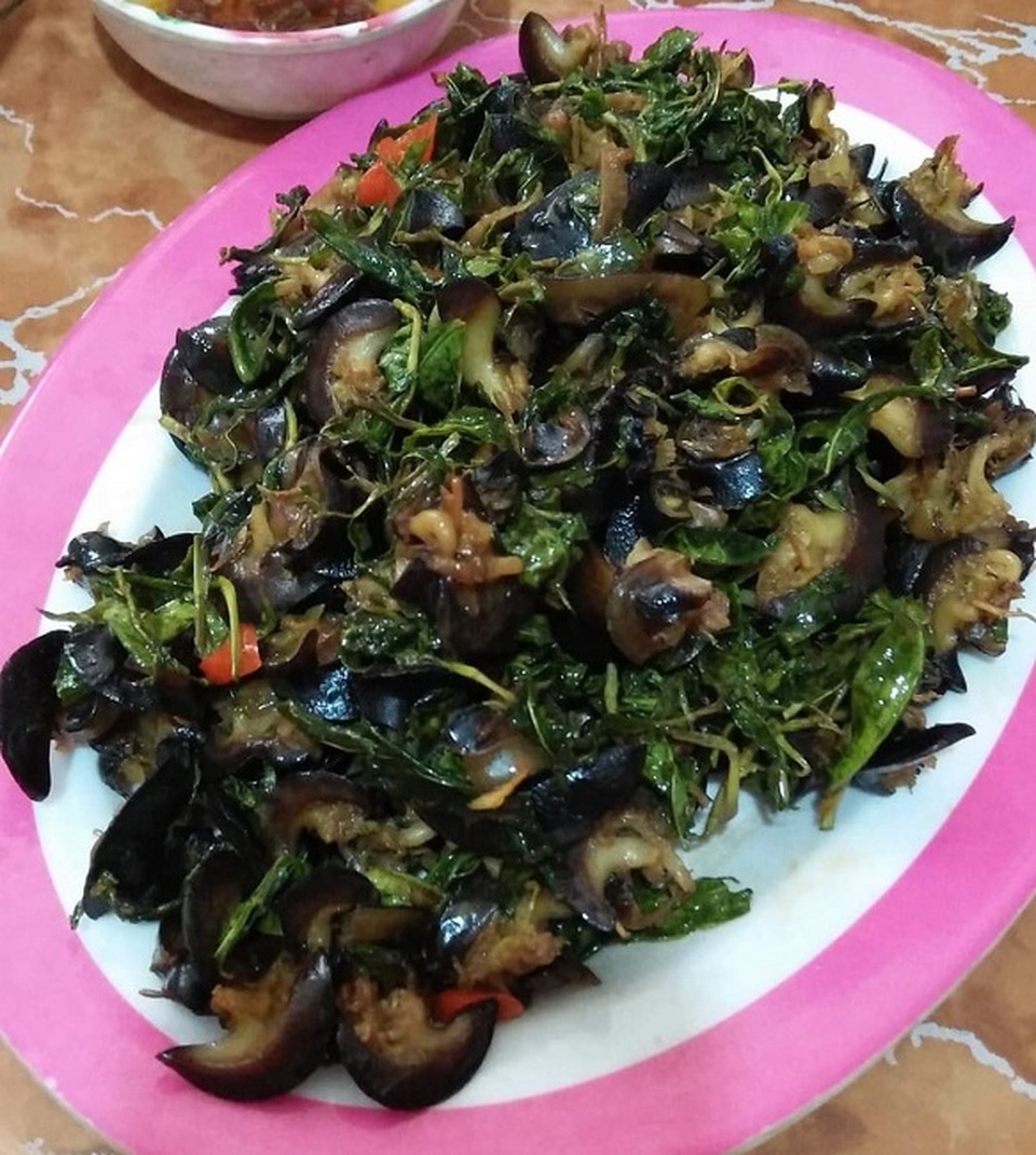 Loại ốc cạn “nhan nhản” khắp vườn, nơi cho không ai lấy, chỗ lại đắt hơn vàng - 4 Loại ốc cạn “nhan nhản” khắp vườn, nơi cho không ai lấy, chỗ lại đắt hơn vàng - 4
