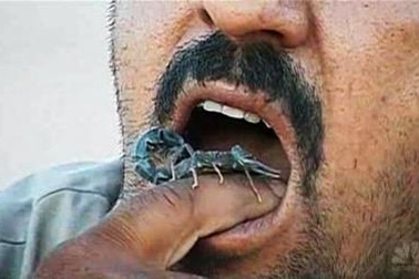Người đàn ông nghiện ăn bọ cạp sống