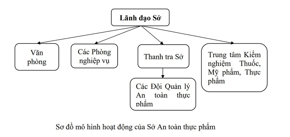 Sở An toàn thực phẩm đầu tiên của Việt Nam ra mắt - 3 Sở An toàn thực phẩm đầu tiên của Việt Nam ra mắt - 3