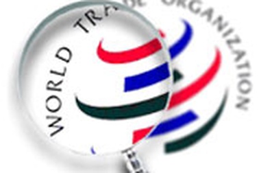 Việt Nam sẽ chính thức gia nhập WTO vào mùa Thu năm nay