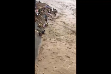 Người dân Yên Bái liều lĩnh mạng sống để vớt củi giữa dòng nước lũ chảy xiết