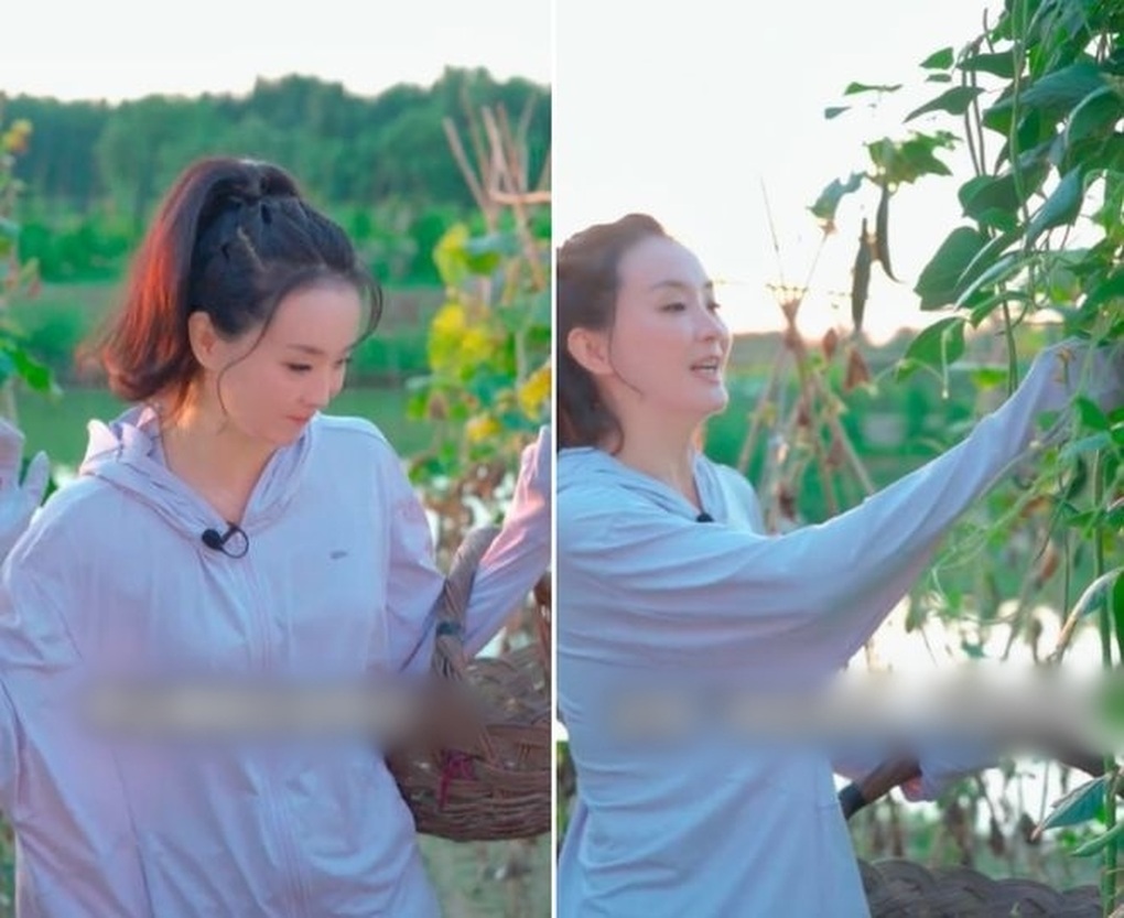Tình Nhi Vương Diễm bỏ phố về quê làm nông nhưng lộ biệt phủ tráng lệ - 2 Tình Nhi Vương Diễm bỏ phố về quê làm nông nhưng lộ biệt phủ tráng lệ - 2