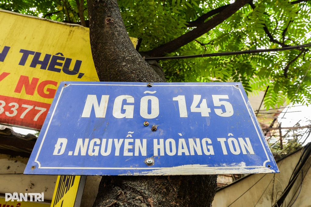 Hàng loạt cây xanh ở Hà Nội bị đóng đinh, còng lưng bán hàng - 2 Hàng loạt cây xanh ở Hà Nội bị đóng đinh, còng lưng bán hàng - 2