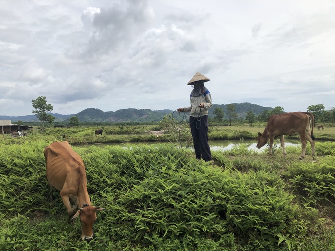 Viết tiếp theo dự án La Tưng: Cần sớm tháo gỡ để người dân thật sự thoát nghèo - Ảnh 1.