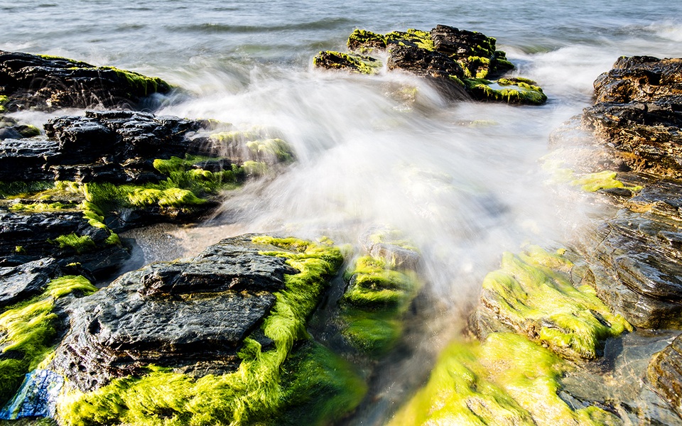 Xã đảo Tam Hải có tên trong 5 bãi biển đẹp nhất phía Nam - 6