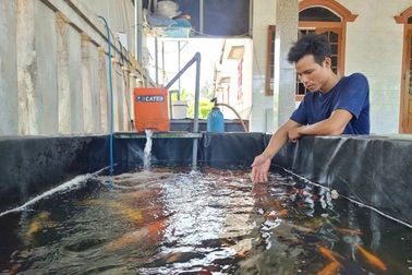 Nuôi cá "sang chảnh" giữa cát trắng, chàng trai khiến nhiều người bất ngờ