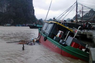 18 người chết và mất tích do bão số 14