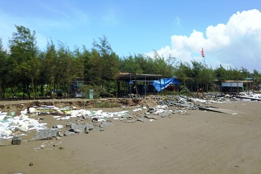 Nhiều diện tích rừng đặc dụng tan hoang sau đợt triều cường mạnh