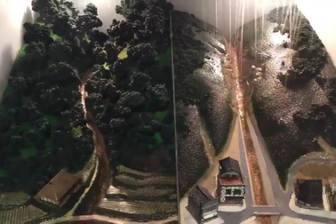 Ví dụ minh họa thực tế cho thấy hậu quả việc mất rừng