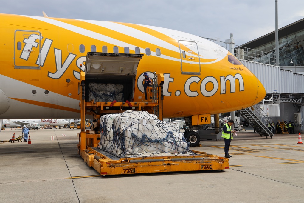 Việt Nam tiếp nhận đợt hàng cứu trợ quốc tế đầu tiên cho vùng lũ lụt - 2