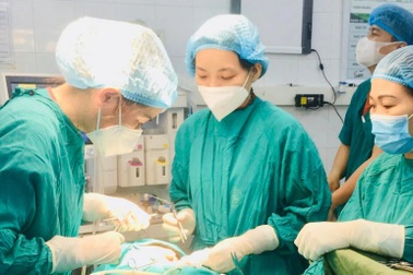 Thả rông chó - đừng biến vật nuôi thành mối nguy