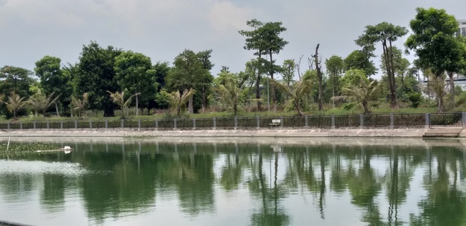 Hà Nội: Kinh hãi mùi hôi của cá chết nổi trên hồ giữa đô thị - Ảnh 6. Hà Nội: Kinh hãi mùi hôi của cá chết nổi trên hồ giữa đô thị - Ảnh 6.