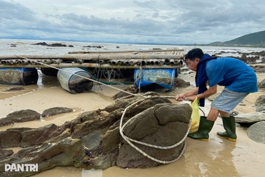 Người đàn ông thẫn thờ khi bị bão Kajiki "cướp trắng" cả chục tỷ đồng