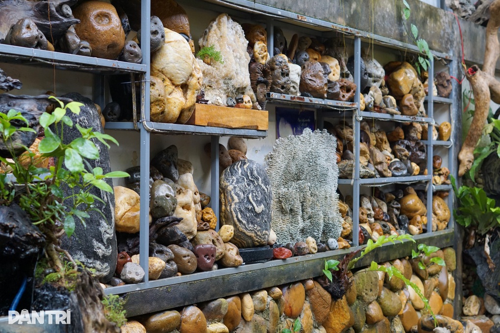 Hàng thập kỷ sưu tầm đá độc, lạ, không bán chỉ để mọi người ngắm - 3